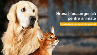 Hrana hipoalergenică pentru animale