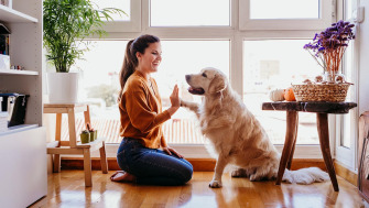 Cum să păstrezi casa curată atunci când ai un animal de companie