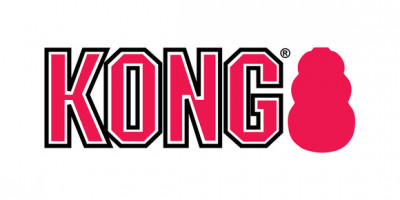 KongCompany