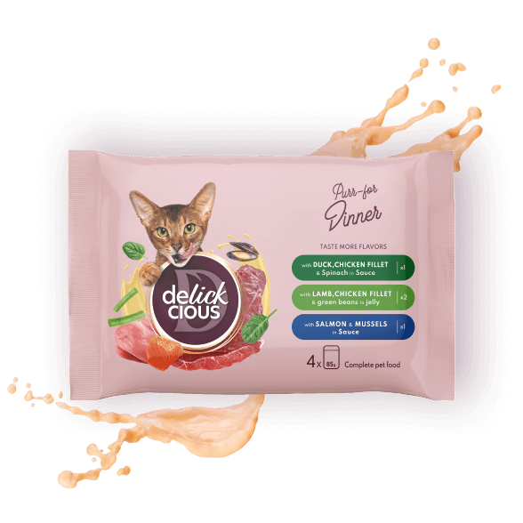 Delickcious Cat - Set 4 Plicuri - 85g