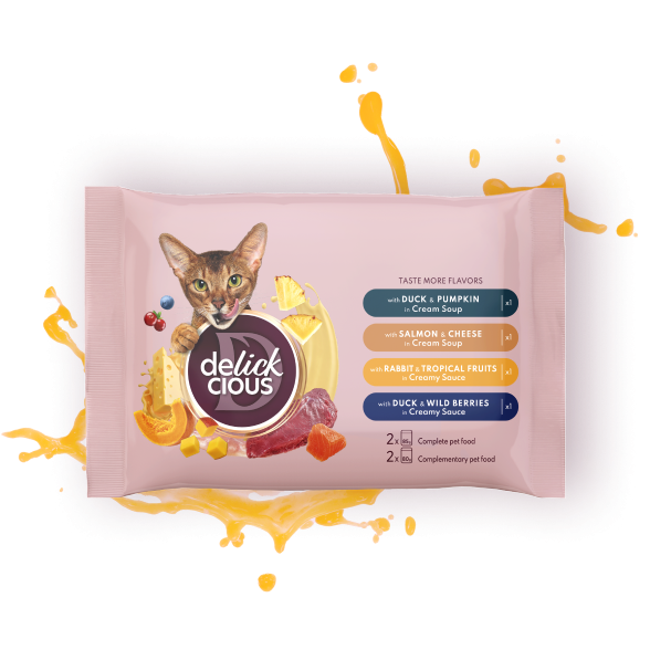 Delickcious Cat - Set Cină și Desert
