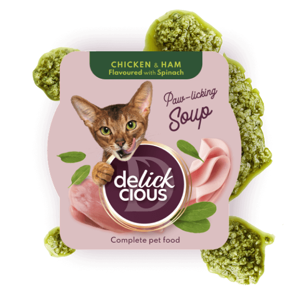 Delickcious Cat - Supă de Pui cu Șuncă și Spanac - 80g