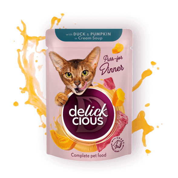 Delickcious Cat - Fâșii de Rață și Dovleac în Supă Cremoasă - 85g