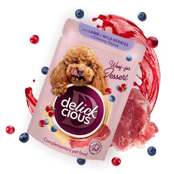 Delickcious Dog - Fulgi de Miel și Fructe de Pădure în Sos Cremos - 80g