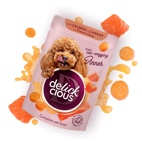 Delickcious Dog - Fâșii de Somon și Morcov în Supă Cremoasă - 85g