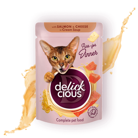 Delickcious Cat - Fâșii de Somon și Brânză în Supă Cremoasă - 85g