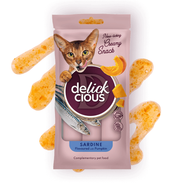 Delickcious Cat - Snack Cremos cu Sardine și Dovleac - 4x15g