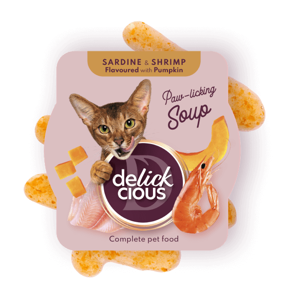 Delickcious Cat - Supă de Sardine cu Creveți și Dovleac - 80g
