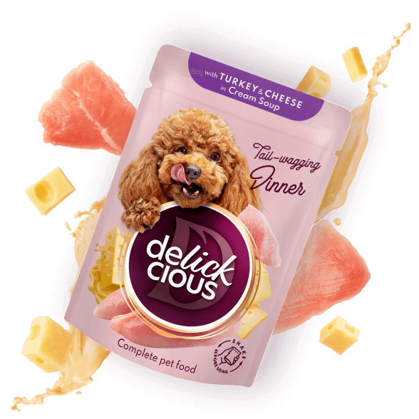 Delickcious Dog - Fâșii de Curcan și Brânză în Supă - 85g