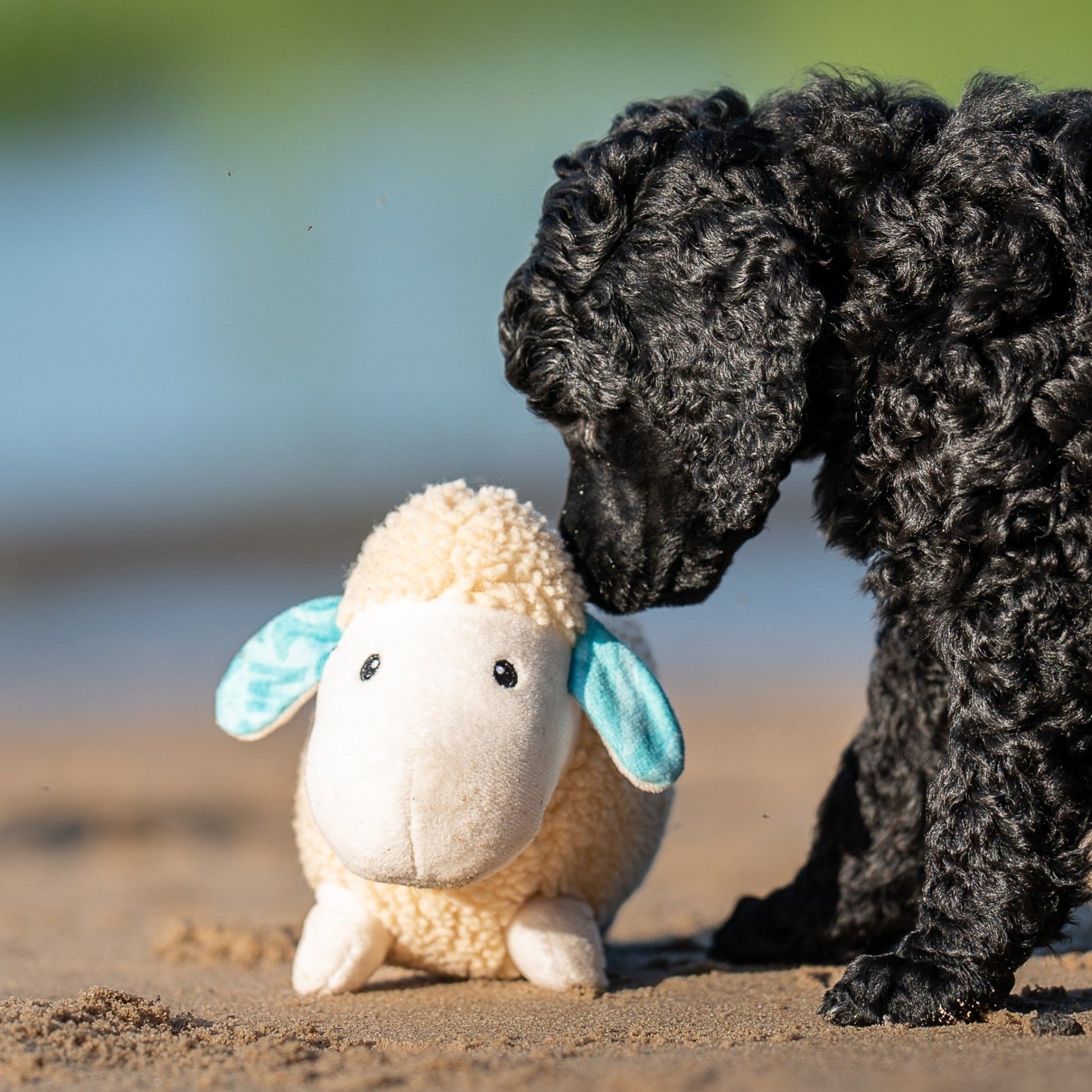 Jucărie Max & Molly Huggles - Sheep Barbara (imagine 3)