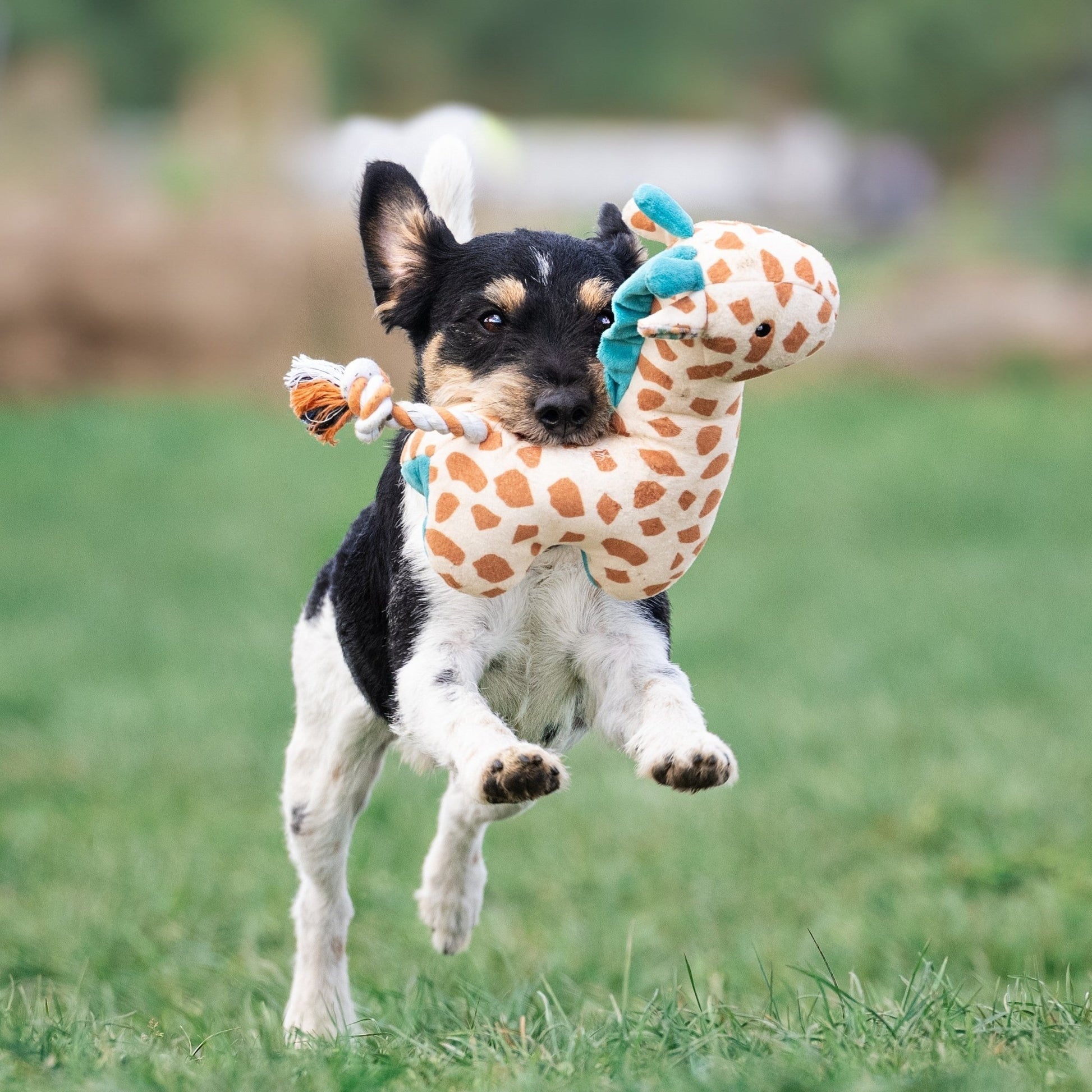 Jucărie Max & Molly Huggles - Giraffe Jerry (lifestyle 1)