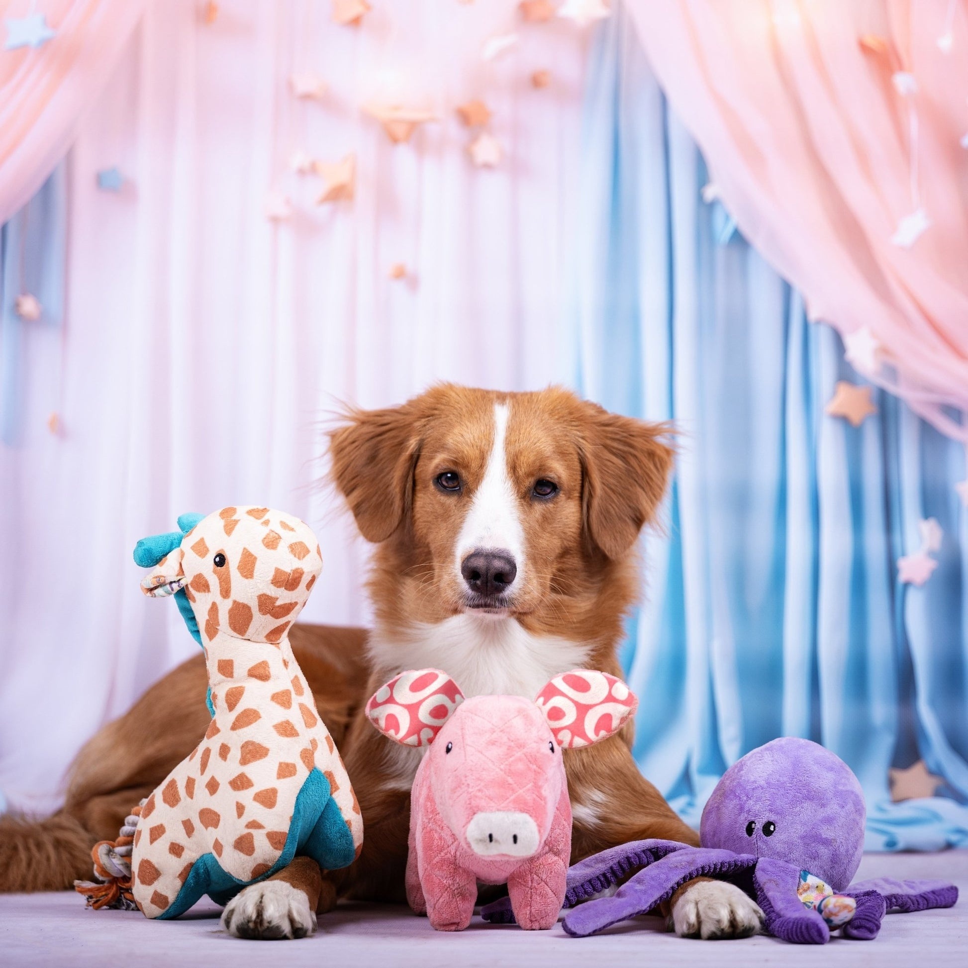 Jucărie Max & Molly Huggles - Giraffe Jerry (lifestyle 3)