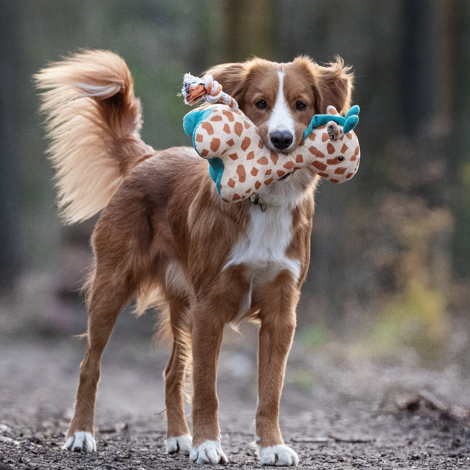 Jucărie Max & Molly Huggles - Giraffe Jerry (imagine 2)