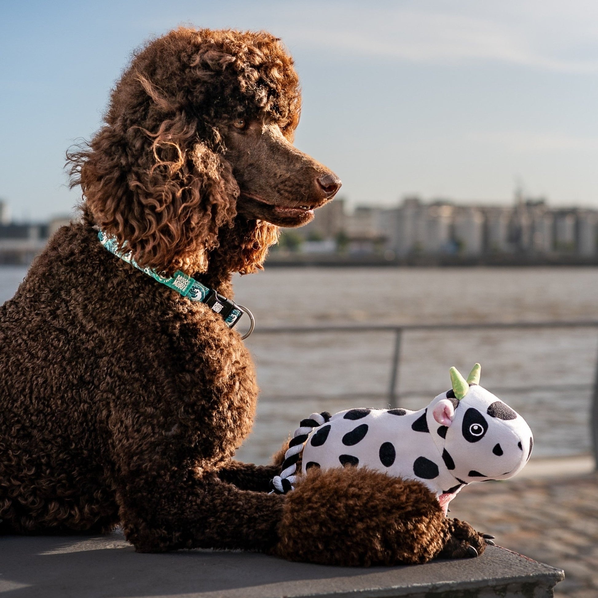 Jucărie Max & Molly Huggles - Cow Claire (lifestyle 2)