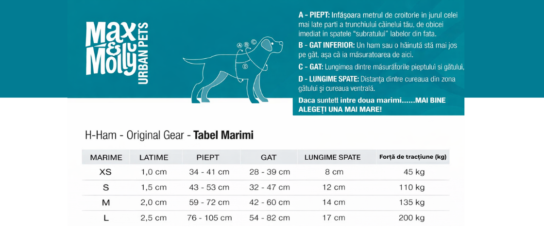 Tabel dimensiuni ham Max & Molly