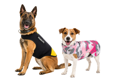 Hainute | Incaltaminte | Accesorii