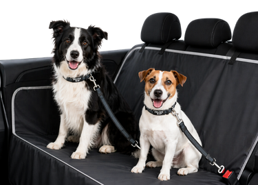 Huse | Accesorii masina