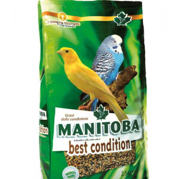 Manitoba Best Condition - Hrana completa pentru canari, pasari autohtone - 2.5kg