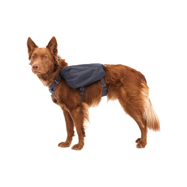Rucsac caini Front Range Day Pack Ruffwear - M - Basalt Gray