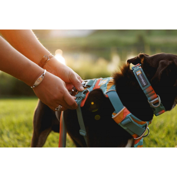 Ham Front Range Ruffwear - M - Spring Mountains