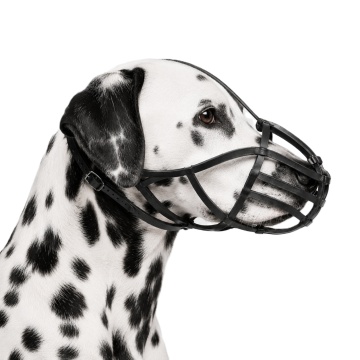 Botnita piele dura - Ciobanesc, Dalmatian, Setter, Labrador, Golden Retriever, Malamut de Alaska