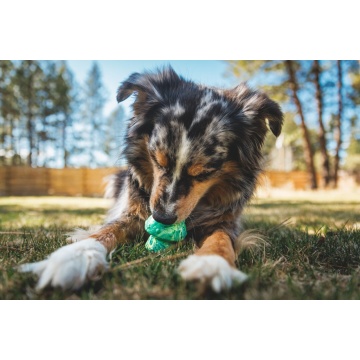 Jucarie Ruffwear Toadstool - Gray Sky - Img 3