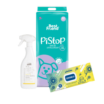 Pachet Puppy Training