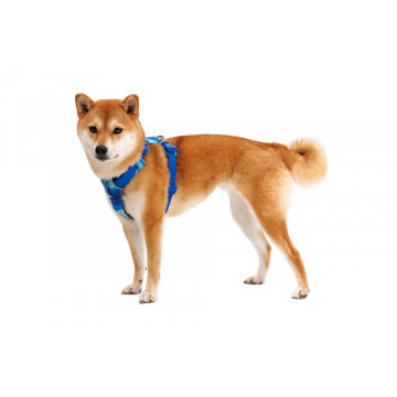Ham Front Range Ruffwear - L-XL - Coastal Mountains - Img 3