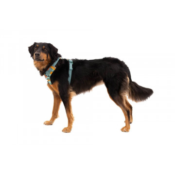 Ham Front Range Ruffwear - L-XL - Spring Mountains - Img 1