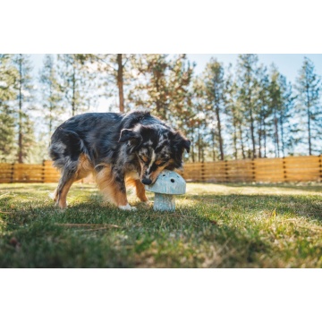 Jucarie Ruffwear Porcini - Gray Sky - Img 2