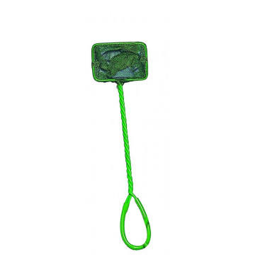 Minciog acvariu, verde, mic
