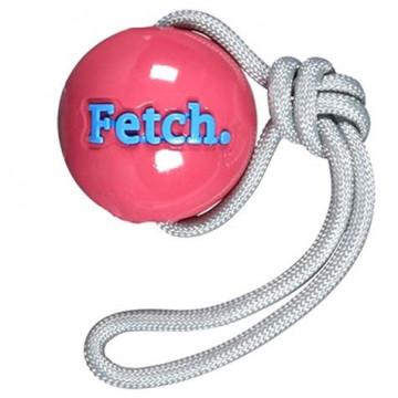 Minge PlanetDog - Orbee Fetch - Roz - Img 1