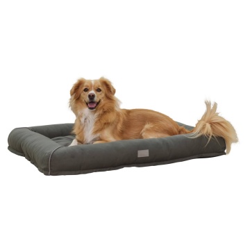 Patut pentru caini - Jerome - Verde - 75x60x11 cm