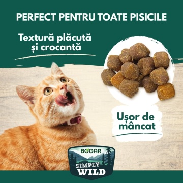 Recompense pentru pisici - Bogar Simply Wild - Somon - 60 g - Img 3