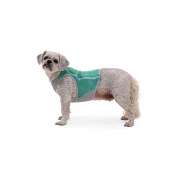 Vesta racire Swamp Cooler Ruffwear - L - Aurora Teal - Img 5