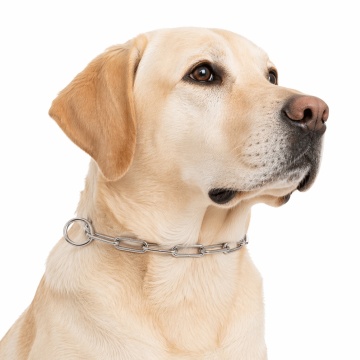 Zgarda dresaj, veriga lunga - 75cm