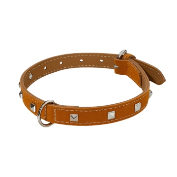 Zgarda piele, tinte - 55cm - Portocaliu