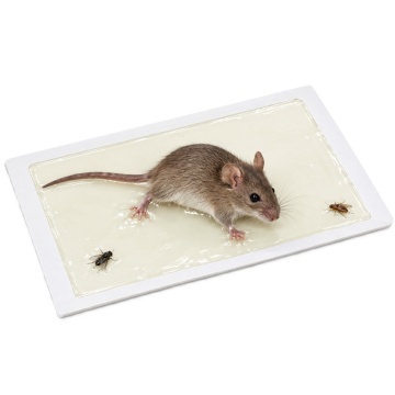 Capcana adeziva pentru rozatoare si insecte - Placa cu lipici