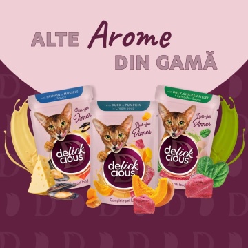 Delickcious Cat - Bucati de Miel, Pui & Fasole Verde in Aspic - 85g - Img 5