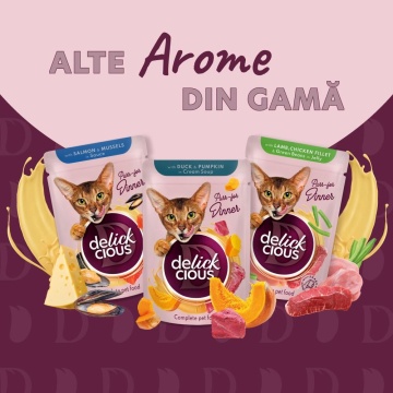 Delickcious Cat - Fasii de Somon & Branza in Supa Cremoasa - 85g - Img 5