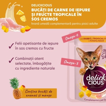 Delickcious Cat - Set Cina si Desert - Supa 2x85g & Bucati in Sos 2x80g - Img 6