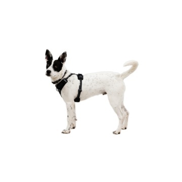 Ham Front Range Flex Ruffwear - M - Basalt Grey - Img 4