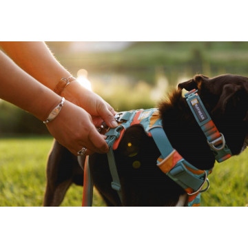 Ham Front Range Ruffwear - L-XL - Spring Mountains - Img 5