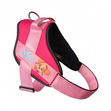 Ham JK9 IDC Power PAW Patrol - XL - Skye - Img 2
