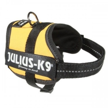 Ham JK9 Power - XS - Galben - Img 2