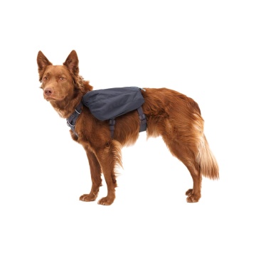 Rucsac caini Front Range Day Pack Ruffwear - M - Basalt Gray - Img 1