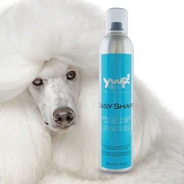 YUUP! Professional Easy Shape - Spray pentru modelare - 300ml - Img 2