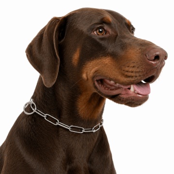 Zgarda dresaj, veriga lunga - 55cm