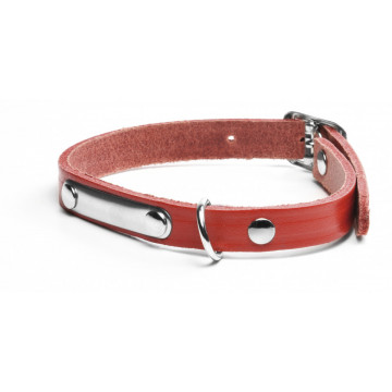 Zgarda piele, placuta metal - 3XL - Img 3