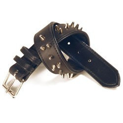 Zgarda piele, tinte - 50cm